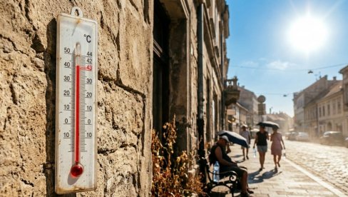 ZA TRI DANA UGAŠENO PREKO 200 ŽIVOTA: Jezive posledice toplotnog talasa, ovaj deo Evrope gori