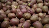КРОМПИР ЋЕМО УВОЗИТИ: Ево на које проблеме се указује и како их треба решавати