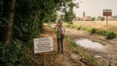 ЗАТИШЈЕ ПРЕД БУРУ: Врућине зауставиле комарце, али стручњаци издали хитно упозорење