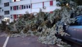 ВЕТАР НОСИО КРОВЕВЕ, ЛОМИО И ЧУПАО ДРВЕЋЕ: Лозницу и Љубовију погодило јако невреме (ФОТО)