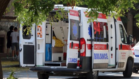 MUŠKARCA IZUJEDAO ROJ OSA U BEOGRADU: Preminuo uprkos pokušajima lekara da ga spasu
