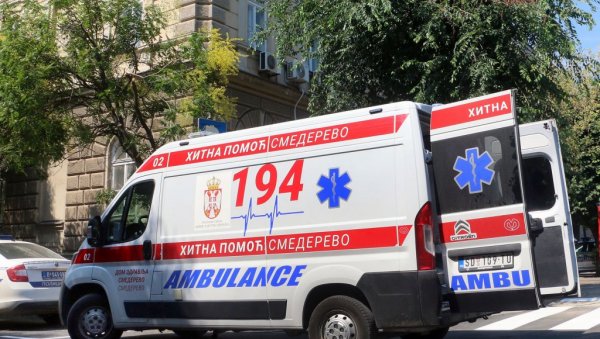 ХТЕО ДА ПОМОГНЕ ПОРОДИЉИ, ПА СТРАДАО ОД ОСА: Троје деце остало без оца - детаљи трагедије у Београду