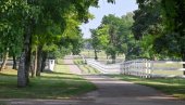 VOJVODINA SVE POŽELJNIJA TURISTIČKA DESTINACIJA:  Broj noćenja veći za trećinu nego lane