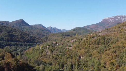 SVE ŠTO TREBA DA ZNATE O NIMOS-u: Nacionalni sistem za praćenje vitalnosti šuma Republike Srbije