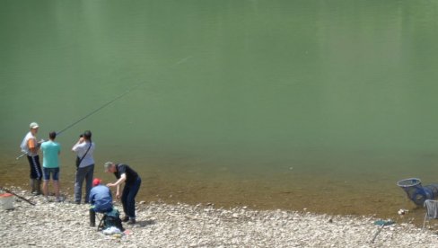 НА ДРИНИ, КОД МАЛОГ ЗВОРНИКА: Затрована вода  убијала рибе