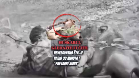 (УЗНЕМИРУЈУЋ СНИМАК) Лавица напала човека - невероватно шта је радио 30 минута и преварио смрт