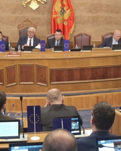 РЕКОНСТРУКЦИЈА ВЛАДЕ ЦРНЕ ГОРЕ ДО КРАЈА ЈУЛА? Позната могућа нова имена у скупштини