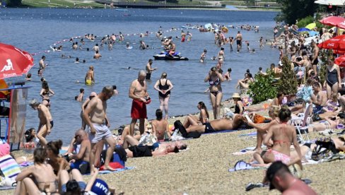 MEDUZE PRIMEĆENE NA ADI CIGANLIJI: Stručnjak otkriva da li su opasne za kupače