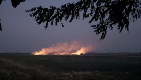 VATRA GUTALA NJIVE KOD SREMSKE MITROVICE: Vatrogasci hitno intervenisali zbog paljenja strnjike