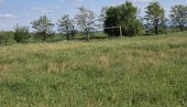 VRAĆENO 36.265 KVADRATA: U Temerinu sačuvano mesto koje su 1920. naselili solunski dobrovoljci