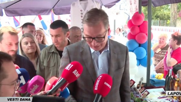 НЕ ДИРАЈТЕ НАМ У КОРЕН, БОРИЋЕМО СЕ ЈАЧЕ НЕГО ИКАДА Вучић упоредио Србију са шљивом, па одбрусио опозицији: Стиде се своје политике