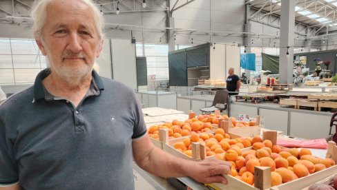 KAJSIJE UPOSLILE DOMAĆICE U KIKINDI: Kuvale pekmez i za narednu godinu, prodaja trostruko veća nego lane (FOTO)