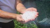 SNAŽNO NEVREME POGODILO PRIJEPOLJE: Grad uništio useve i voćnjake