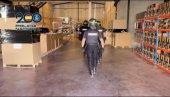 ZAPLENJENO 118 KILOGRAMA MARIHUANE: Španska policija privela 14 osumnjičenih za trgovinu drogom