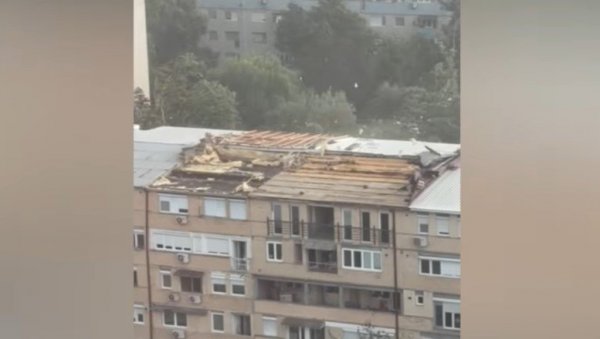 ЖЕНИ ПАЛО ДРВО НА ГЛАВУ: Невреме направило општи хаос у комшилуку, има и повређених (ВИДЕО)