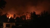 КРАЛИ ИЗ ОПУСТОШЕНИХ ДОМОВА: Велика акција француске полиције у регионима захваћеним пожарима