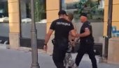 ХТЕО ДА КОЉЕ И УБИЈА СНС АКТИВИСТЕ: Полиција у Крагујевцу разоружала монструма (ВИДЕО)